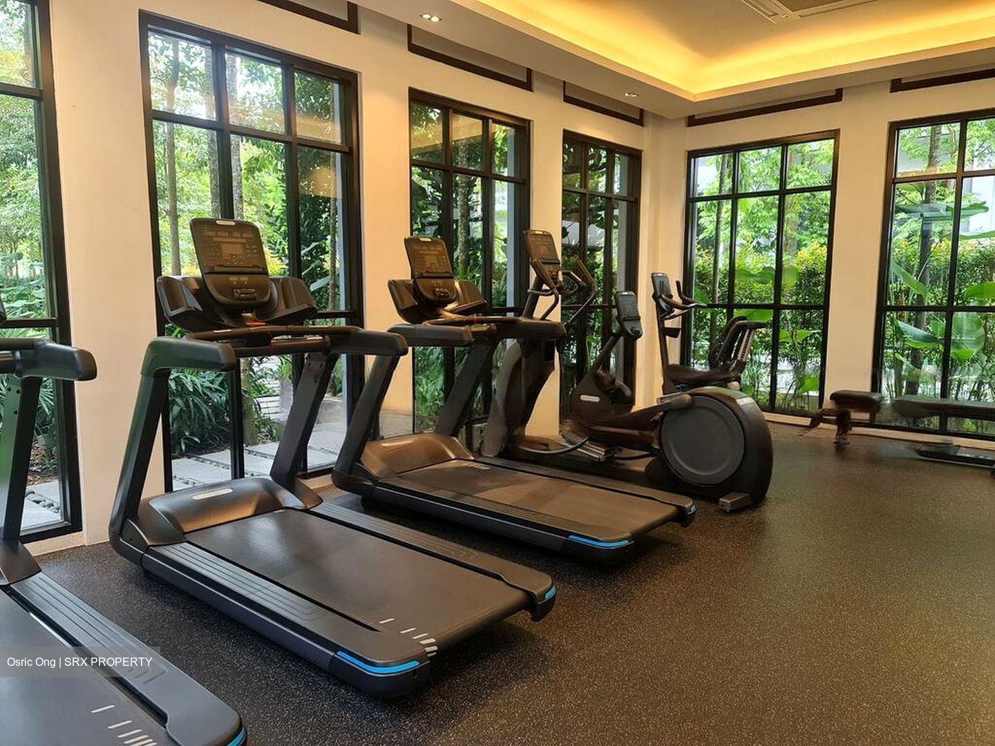 Mayfair Gardens (D21), Condominium #540972131